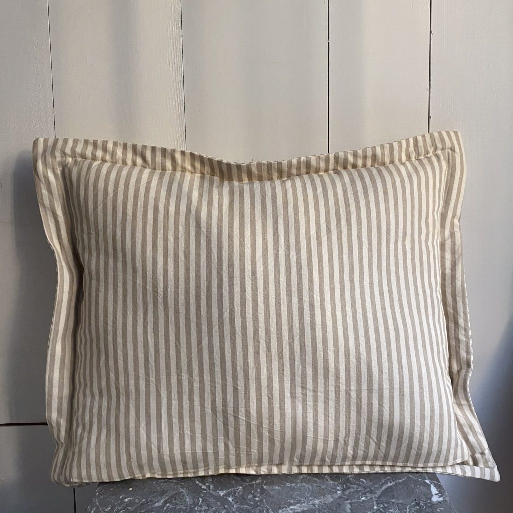 Coppia di cuscini beige