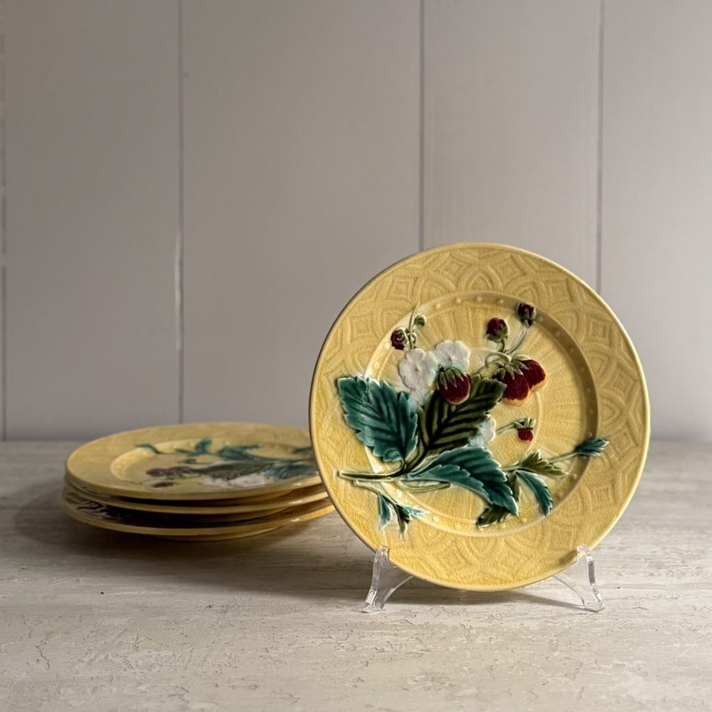 Set di piatti barbotine