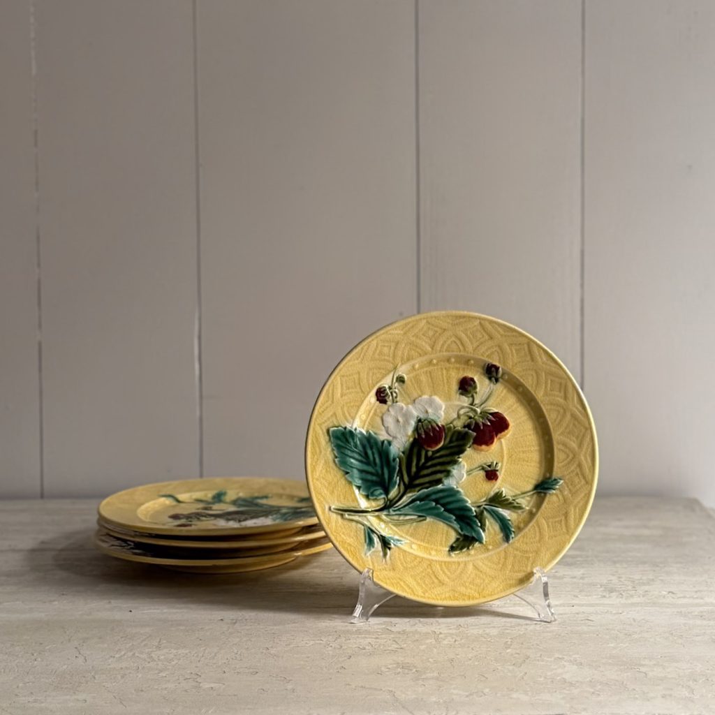 Set di piatti barbotine