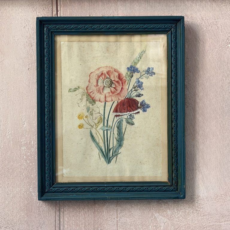 "Anemone"