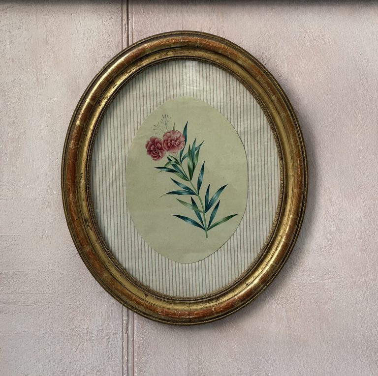 "Garofani in fiore"
