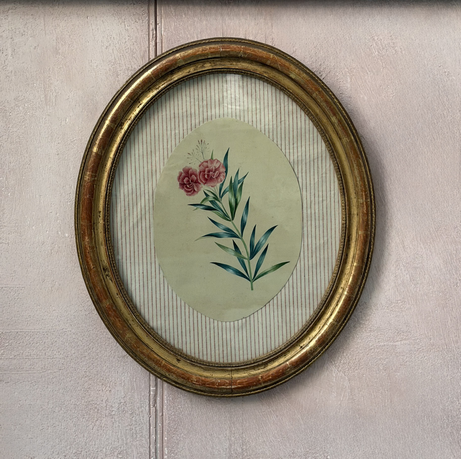 "Garofani in fiore"
