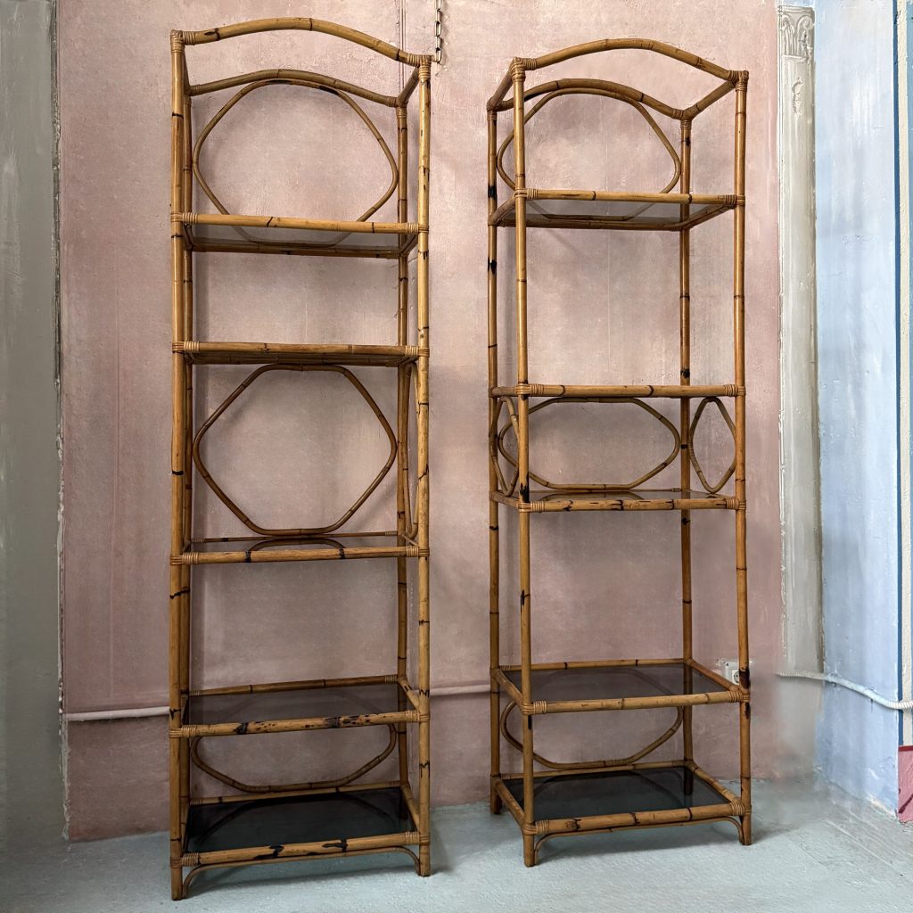 Coppia di librerie
